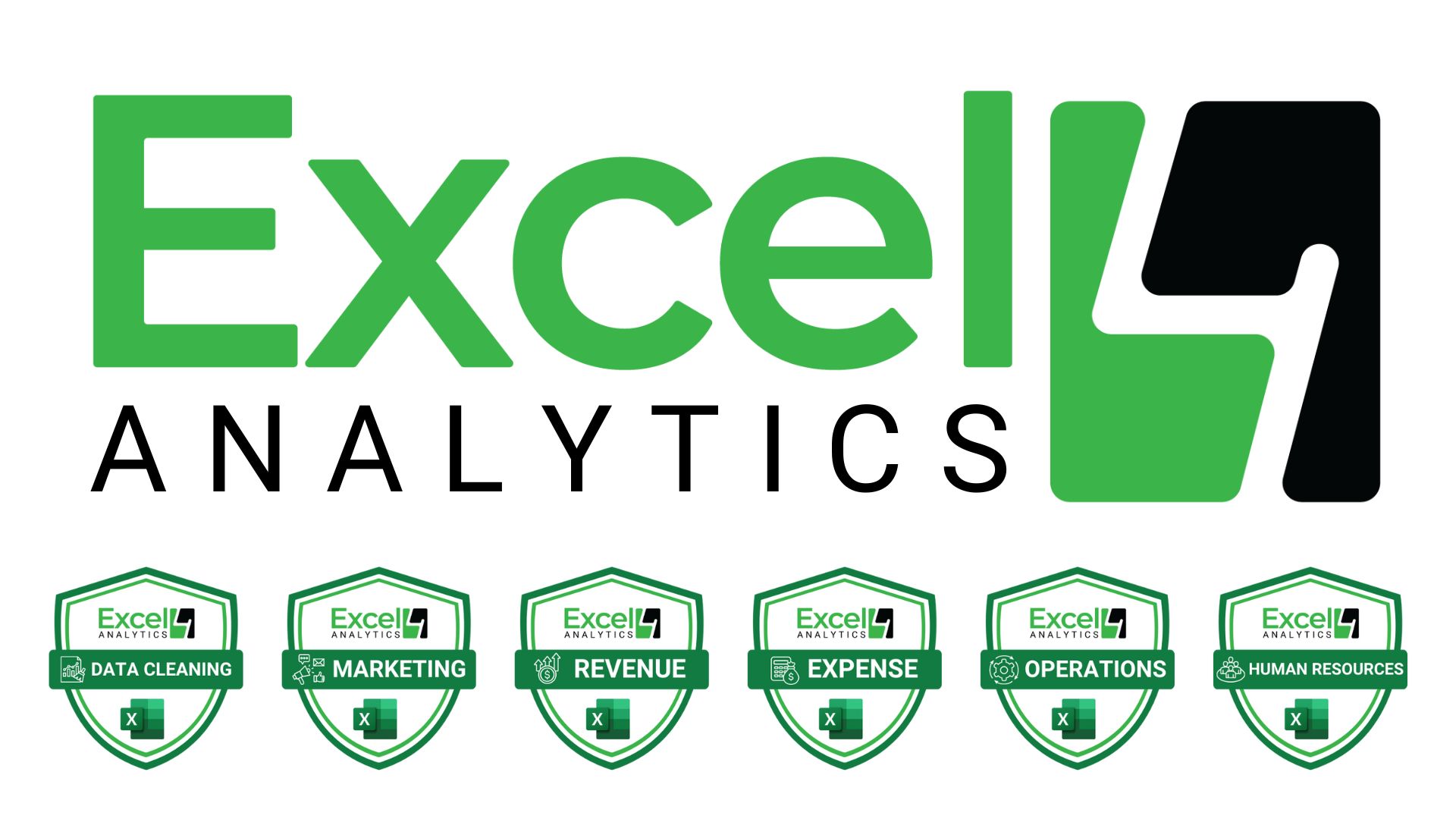Excel for Analytics